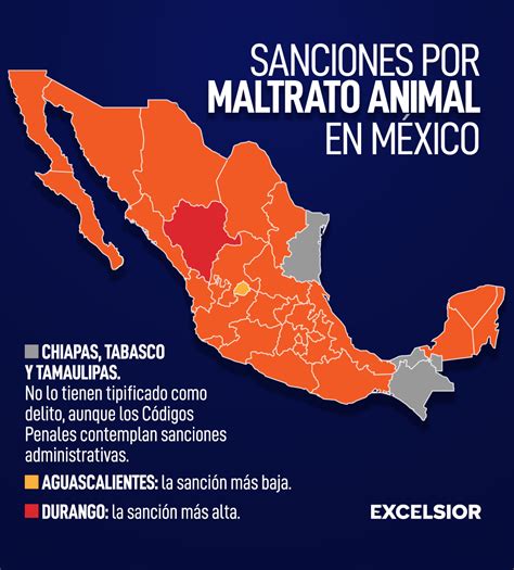 maltrato animal en mexico-1